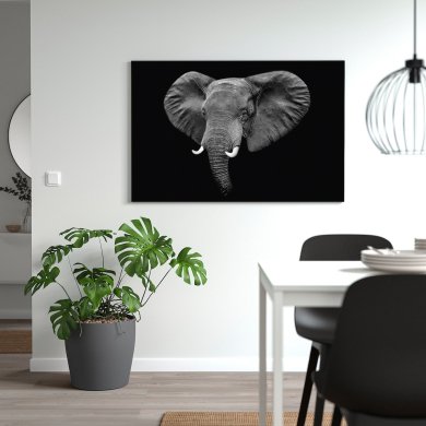 IKEA PJATTERYD (ИКЕА ПЯТЕРИД) 40568118 фото - 3