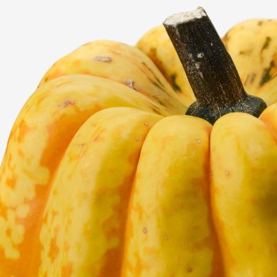 IKEA CUCURBITA (ИКЕА КУКУРБИТТА) 50582294 фото - 4