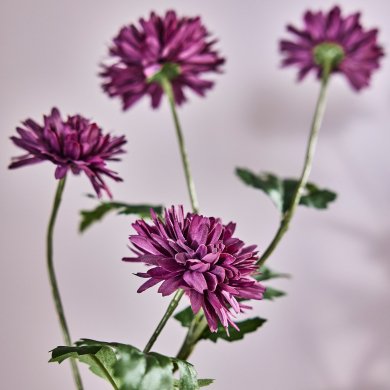 SMYCKA - 2 IKEA SMYCKA (ИКЕА СМЫЦКАЯ) 90608065 фото - 2