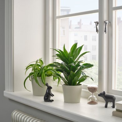 IKEA KORSBARSBJORK (ИКЕА КОРСБАРСБЬОРК) 20591718 фото - 5