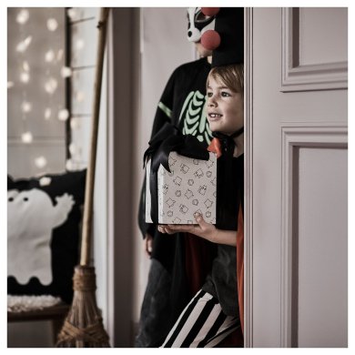 IKEA KUSTFYR (ИКЕА КУСТФЫР) 50599614 фото - 2