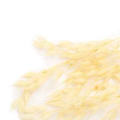 Искусственная ветвь Homla HAVRE 137 см | Экрю - 5 Искусственная ветвь Homla HAVRE 137 см | Экрю 212072 фото - 5