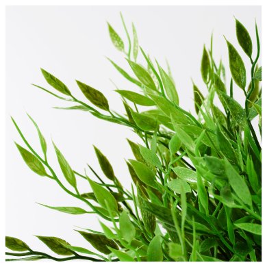 FEJKA - 9 IKEA FEJKA (ИКЕА ФЕЙКА) 60433939 фото - 9