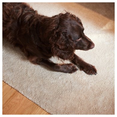 STOENSE - 3 IKEA STOENSE (ИКЕА СТОЭНСЕ) 50628857 фото - 3