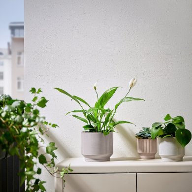 IKEA HONUNGSPALM (ИКЕА ХОНУНГСПАЛМ) 00595798 фото - 4