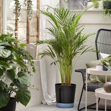 IKEA VARDTRAD (ИКЕА ВАРДТРАД) 40570866 фото - 6