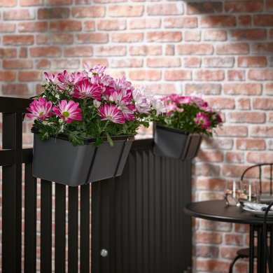 CHRYSANTHEMUM - 2 IKEA CHRYSANTHEMUM (ИКЕА ХРИЗАНТЕМА) 50541152 фото - 2