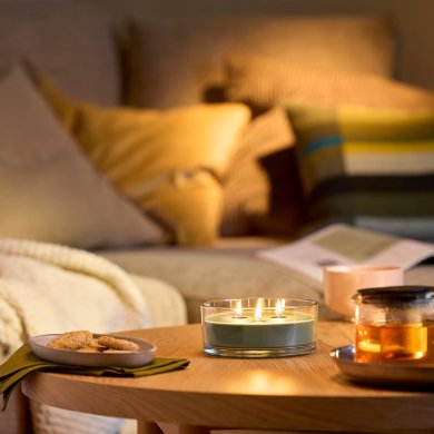 IKEA LOTSFAGEL (ИКЕА ЛОТСФАГЕЛЬ) 10608347 фото - 2