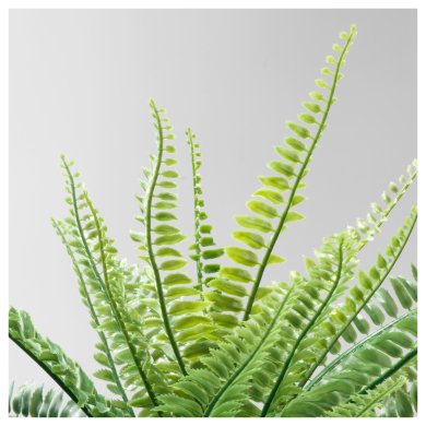 FEJKA - 8 IKEA FEJKA (ИКЕА ФЕЙКА) 30433945 фото - 8