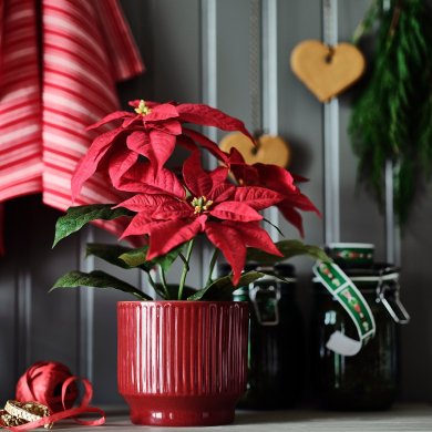 IKEA VINTERFINT (ИКЕА ВИНТЕРФИНТ) 60607859 фото - 3