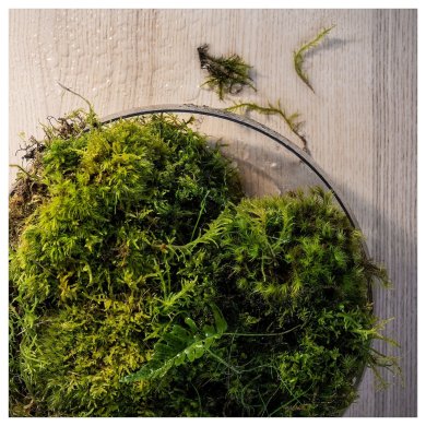 IKEA SILKESTRAD (ИКЕА СИЛКЕСТРАД) 40570395 фото - 6