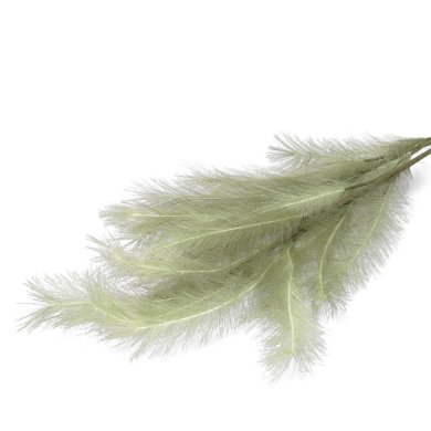 Искусственная ветвь Homla CANNE 100 см| Зеленый 209322 фото - 2