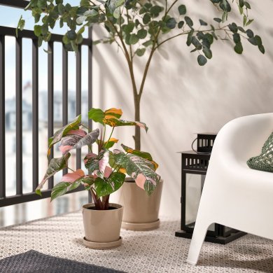 IKEA FEJKA (ИКЕА ФАЛЬШИВЫЙ) 90600861 фото - 4