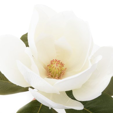 Искусственный цветок Homla HIYA 70 см | Белый / Зеленый - 4 Искусственный цветок Homla HIYA 70 см | Белый / Зеленый 208377 фото - 4