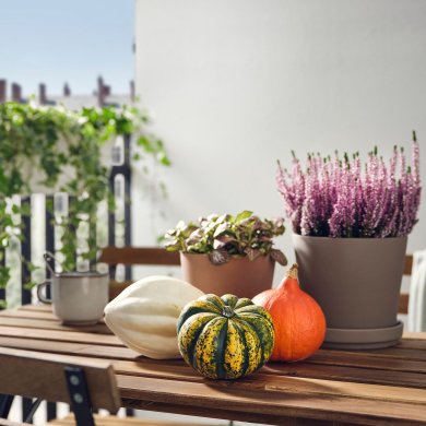 IKEA CUCURBITA (ИКЕА КУКУРБИТТА) 50582294 фото - 2