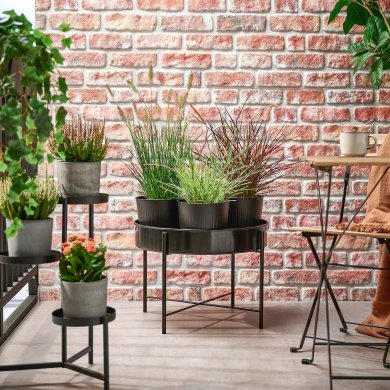 IKEA PENNISETUM (ИКЕА ПЕННИСЕТУМ) 60592382 фото - 3