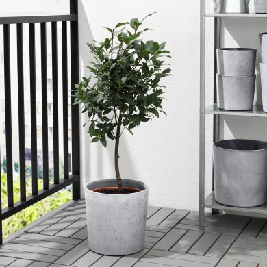 IKEA BOYSENBAR (ИКЕА BOYSENBÄR) 30452260 фото - 3