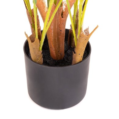 Штучна рослина в горщику Homla TROPICAL ZONE 130 см | Чорний / Зелений - 6 Штучна рослина в горщику Homla TROPICAL ZONE 130 см | Чорний / Зелений 164631 фото - 6