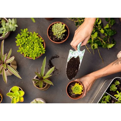 Набор садовых инструментов Garden Line 3 шт Принт - 3 Набор садовых инструментов Garden Line 3 шт Принт EVA5986 WZOR1 фото - 3