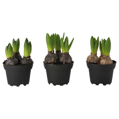 IKEA HYACINTHUS (ИКЕА ГИАЦИНТ) 40535019 фото - 5