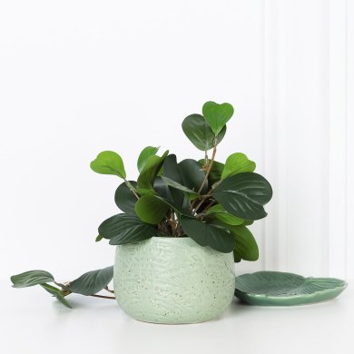 Кашпо Homla TODI 10x12 см | Зелений 209626 фото - 5