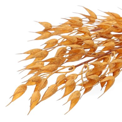 Искусственная ветка Homla HAVRE 19 см | Коричневый - 4 Искусственная ветка Homla HAVRE 19 см | Коричневый 200191 фото - 4