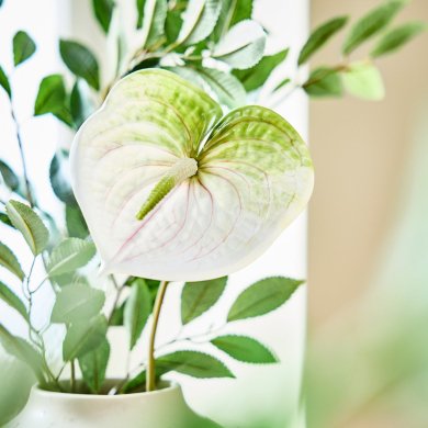 IKEA SMYCKA (ИКЕА СМЫЦКАЯ) 30606088 фото - 3