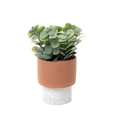 Искусственное растение в горшке Homla DOMS 10,8x22 см | Белый / Зеленый / Коричневый 210666