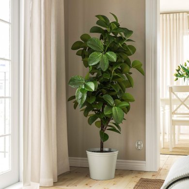 IKEA KORSBARSBJORK (ИКЕА КОРСБАРСБЬОРК) 60591721 фото - 5