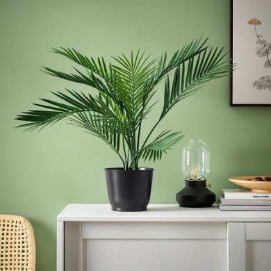 IKEA BROKTRAST (ИКЕА БРОКТРАСТ) 10636411 фото - 2