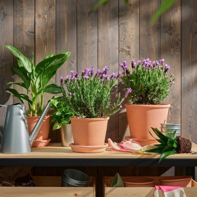 LAVANDULA - 4 IKEA LAVANDULA (ИКЕА ЛАВАНДУЛА) 60547120 фото - 4