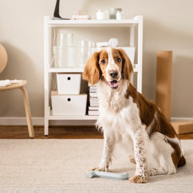 IKEA UTSADD (ИКЕА УТСАДД) 60569211 фото - 5