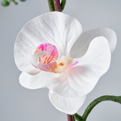 IKEA FEJKA (ИКЕА ФАЛЬШИВЫЙ) 20615234 фото - 2