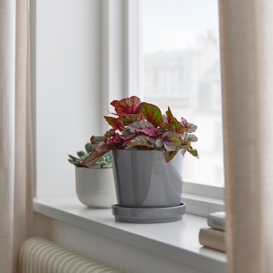 BEGONIA - 3 IKEA BEGONIA (ИКЕА БЕГОНИЯ) 90535012 фото - 3