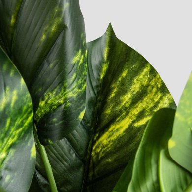 Искусственное растение Homla DIFENBACHIA 110 см Зеленый 237258 фото - 3