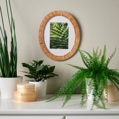 IKEA TRIVIALSKOG (ИКЕА ТРИВИАЛСКОГ) 00611005 фото - 3