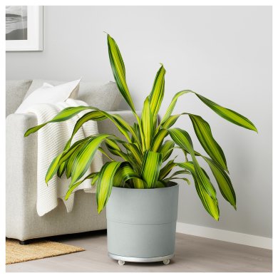 Кашпо NYPON - 5 IKEA Кашпо NYPON (ИКЕА НАЙПОН) 30395632 фото - 5