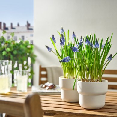 IKEA MUSCARI (ИКЕА МУСКАРИ) 40540370 фото - 3