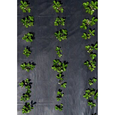 Агроткань Garden Line 1,6x50 м 135 г/м² Черный AGO6438 фото - 4