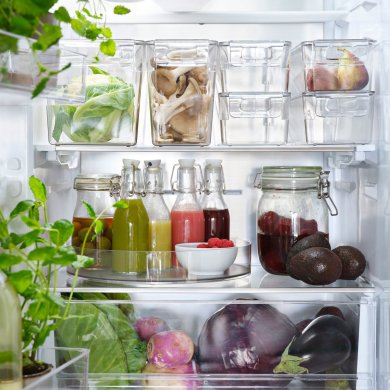 IKEA KLIPPKAKTUS (ИКЕА КЛИППАКТУС) 00624734 фото - 4