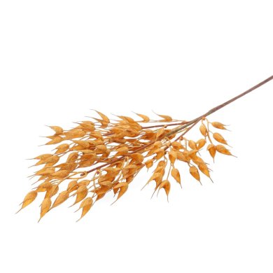 Искусственная ветка Homla HAVRE 19 см | Коричневый - 2 Искусственная ветка Homla HAVRE 19 см | Коричневый 200191 фото - 2