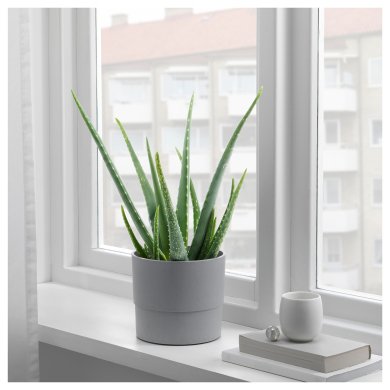 IKEA Кашпо NYPON (ИКЕА НАЙПОН) 60395616 фото - 5