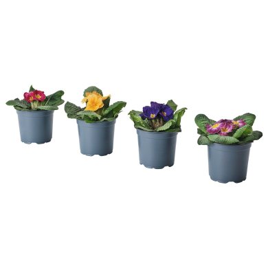 IKEA PRIMULA (ИКЕА PRIMULA) 20592379