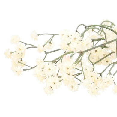 Штучна гілка Homla CLADEL 24 см | Екрю - 4 Штучна гілка Homla CLADEL 24 см | Екрю 200200 фото - 4