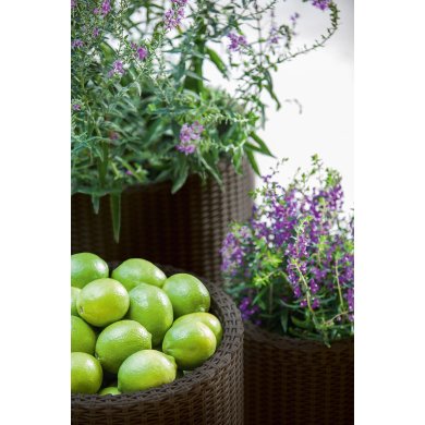 Набір кашпо для квітів Keter Cylinder Planters S/M/L | Коричневий 220455 фото - 5
