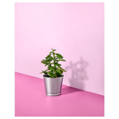 IKEA Кашпо BINTJE (ИКЕА БИНТЬЕ) 80334127 фото - 6