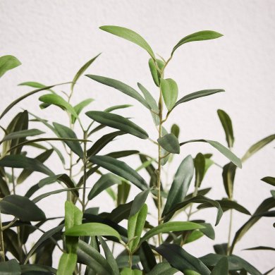 IKEA FEJKA (ИКЕА ФАЛЬШИВЫЙ) 40617699 фото - 2