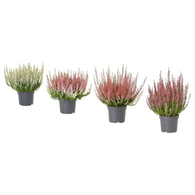 IKEA CALLUNA (ИКЕА CALLUNA) 90582292