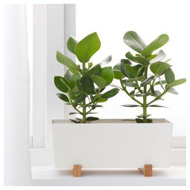 Кашпо BITTERGURKA - 7 IKEA Кашпо BITTERGURKA (ИКЕА БИТТЕРГУРКА) 80285787 фото - 7