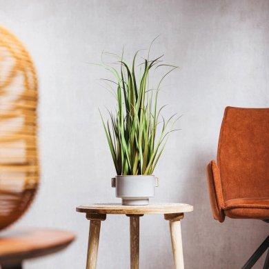 Искусственное растение Homla TRAWA 70 см Зеленый 237259 фото - 3